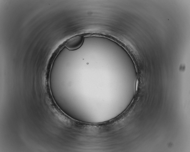 X0000101180880200807111113