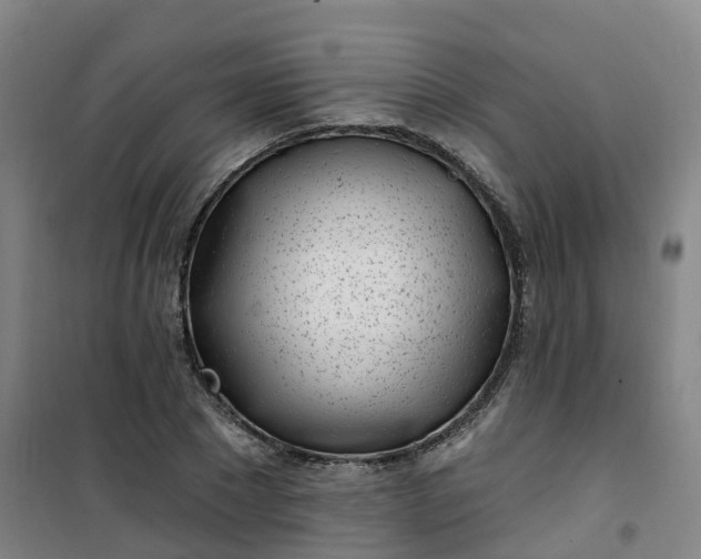 X0000101180881200807111113