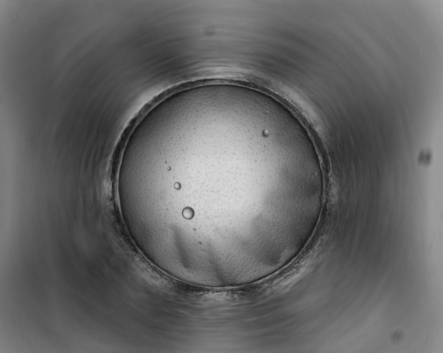 X0000101180883200807111113