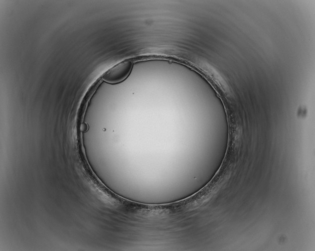 X0000101180884200807111113