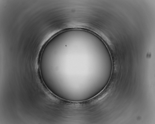 X0000101180885200807111113