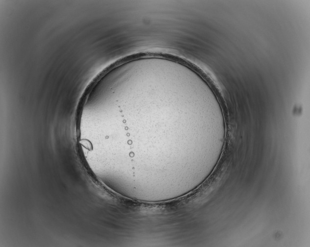X0000101180887200807111113