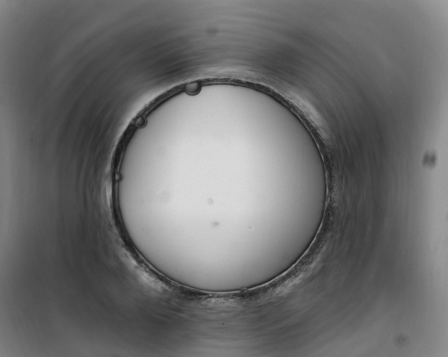 X0000101180888200807111113