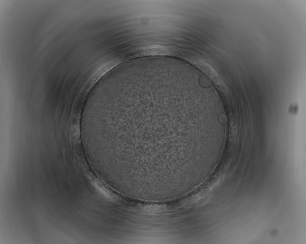 X0000101180889200807111113