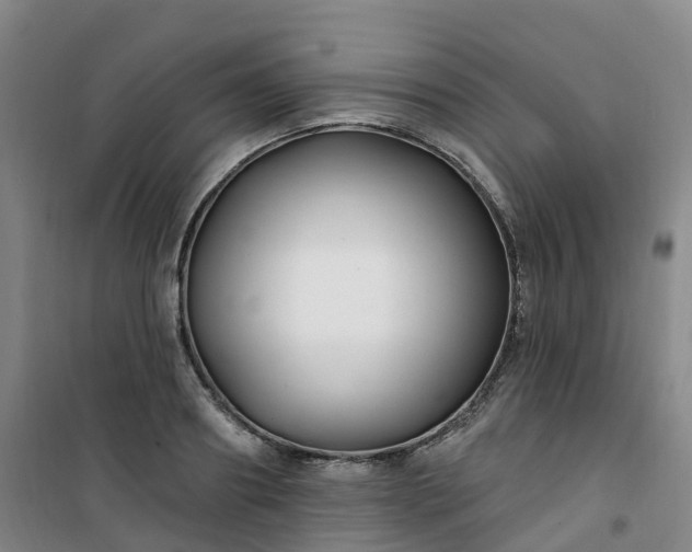 X0000101180890200807111113