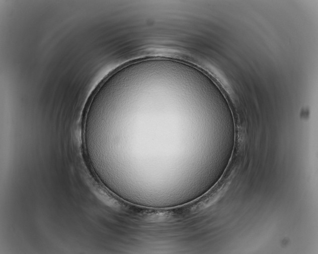 X0000101180891200807111113