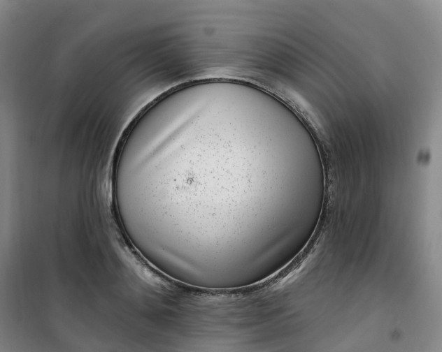 X0000101180892200807111113