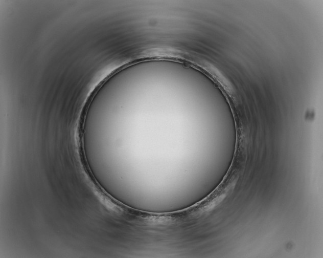 X0000101180893200807111113