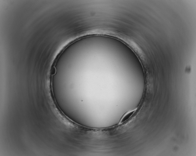 X0000101180896200807111113