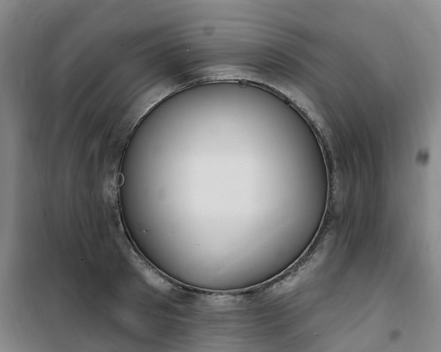 X0000101180897200807111113