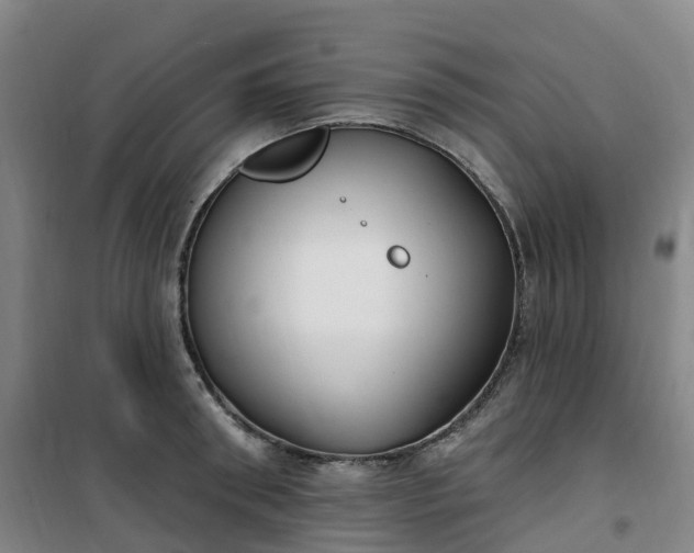 X0000101180898200807111113