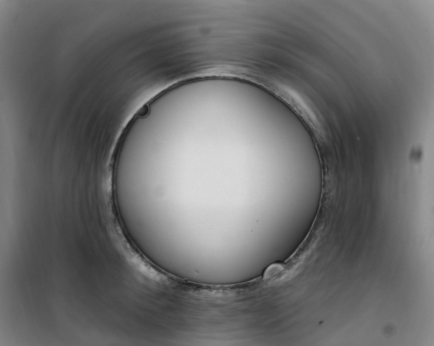 X0000101180900200807111112