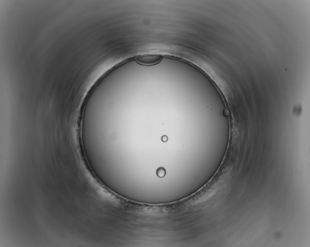 X0000101180901200807111112