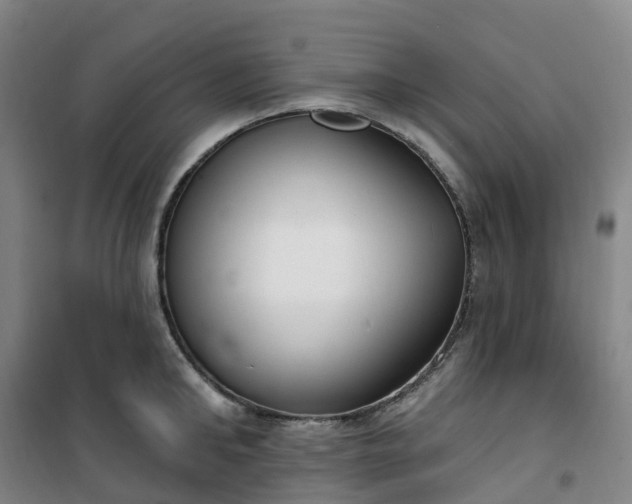 X0000101180902200807111112