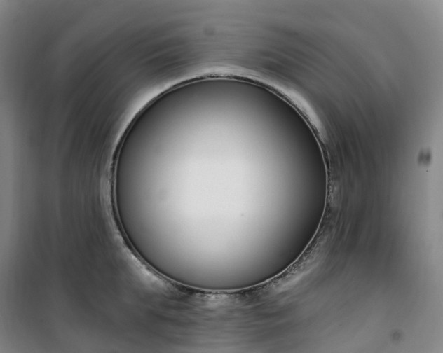 X0000101180903200807111112