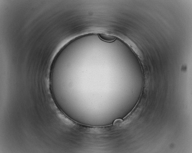 X0000101180904200807111112