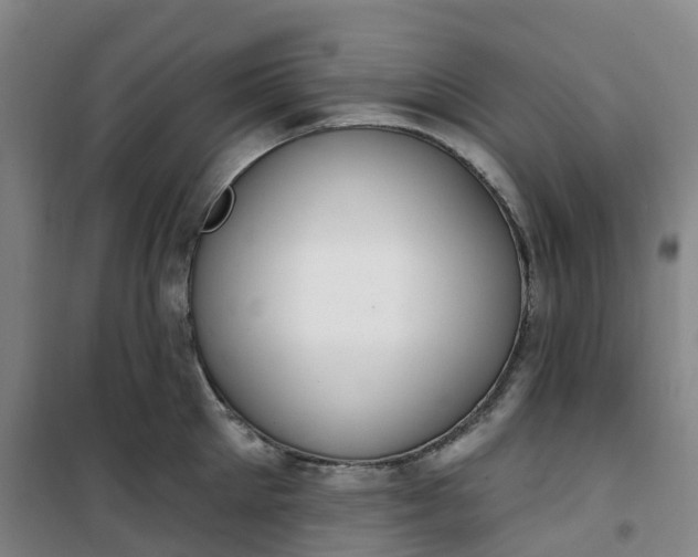 X0000101180905200807111112