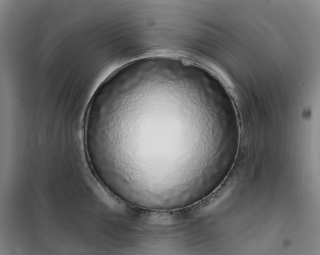 X0000101180907200807111112