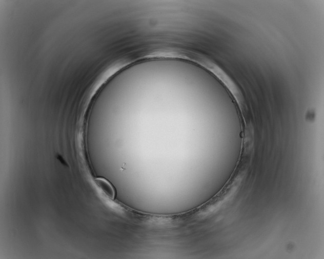 X0000101180909200807111112