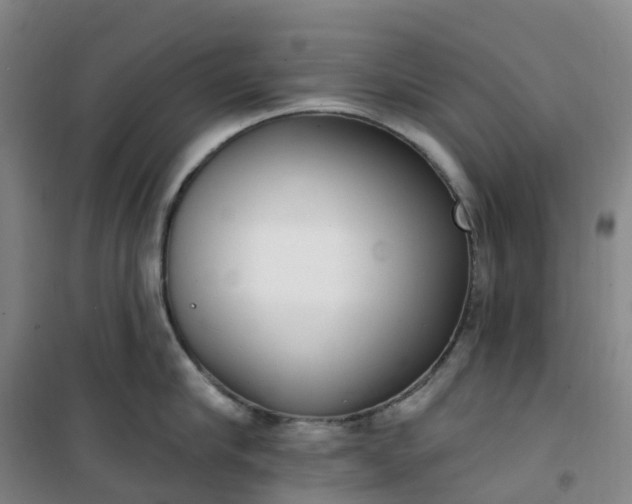 X0000101180910200807111112