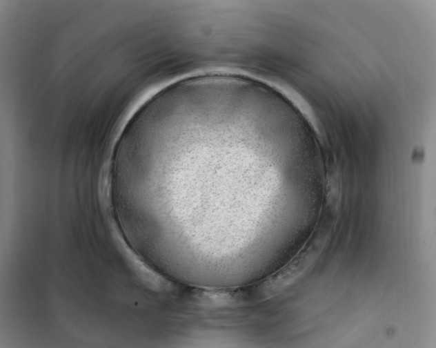X0000101180911200807111112
