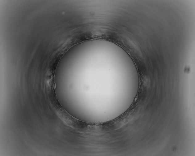 X0000101180914200807111112