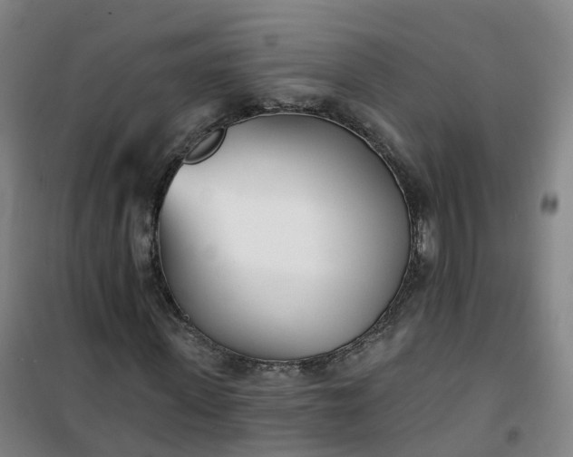 X0000101180915200807111112