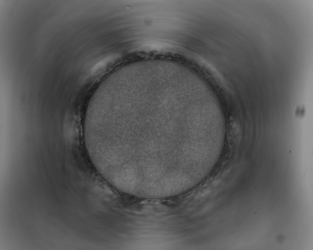 X0000101180918200807111112