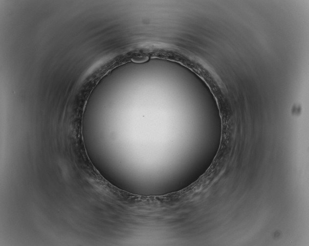 X0000101180919200807111112