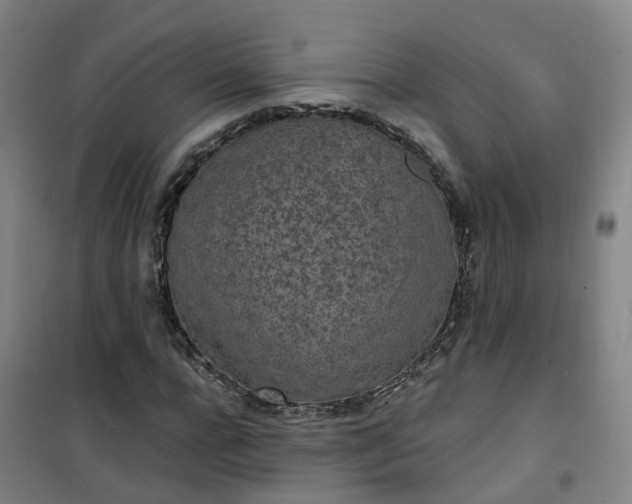 X0000101180920200807111112