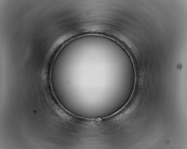 X0000101180922200807111112