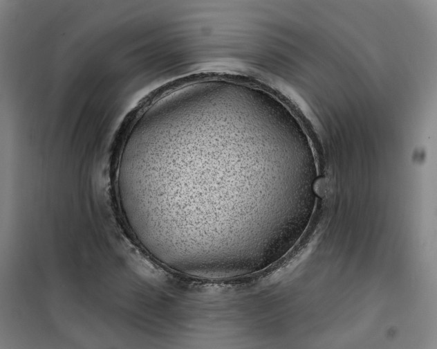 X0000101180923200807111112
