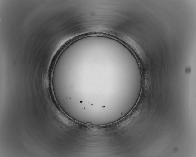 X0000101180924200807111112