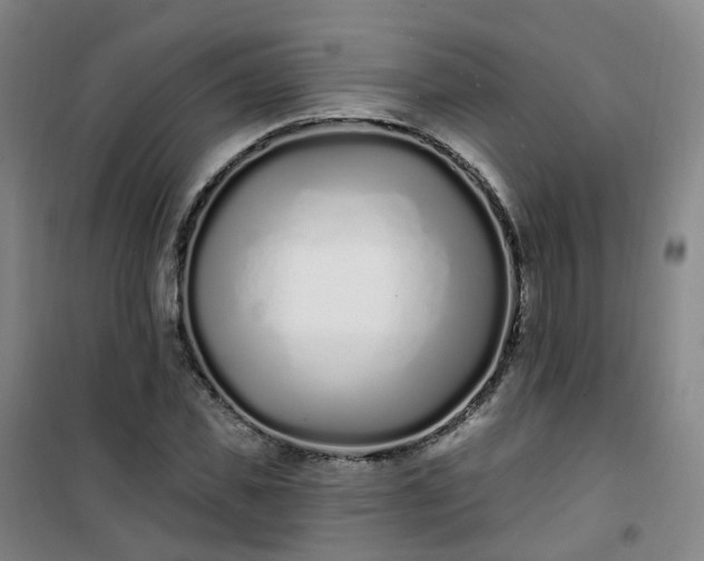 X0000101180925200807111112