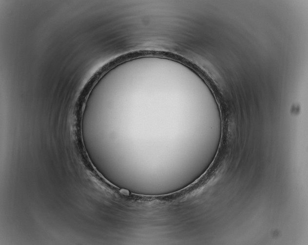 X0000101180926200807111112