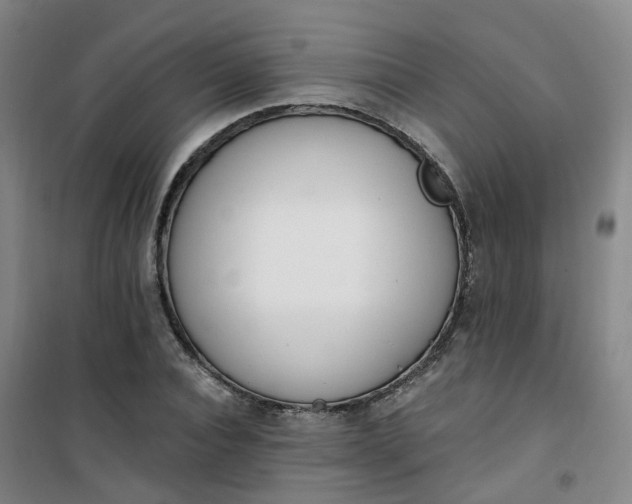 X0000101180928200807111112