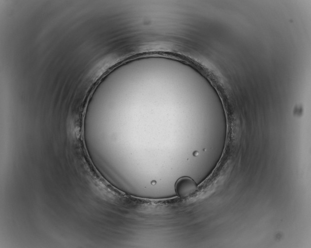 X0000101180929200807111112