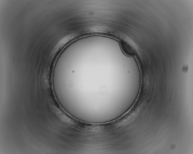 X0000101180930200807111112