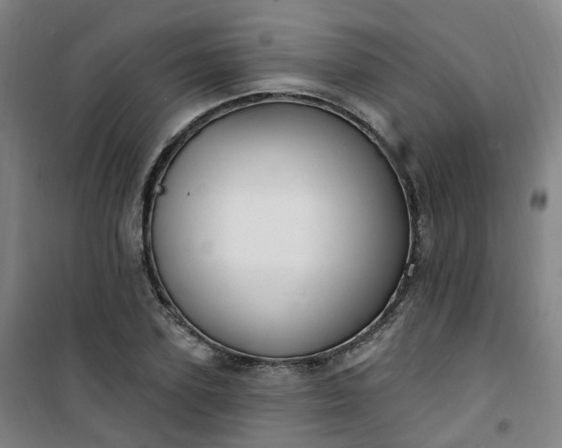 X0000101180931200807111112