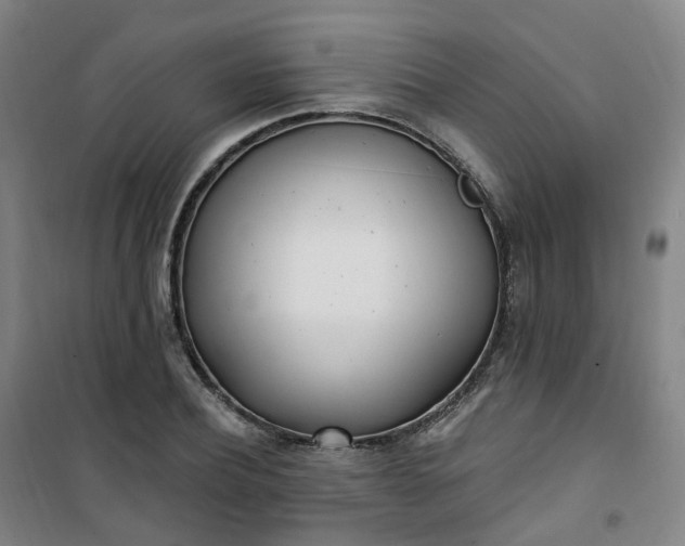X0000101180932200807111112