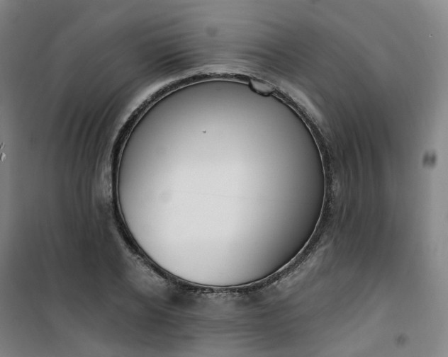 X0000101180934200807111112