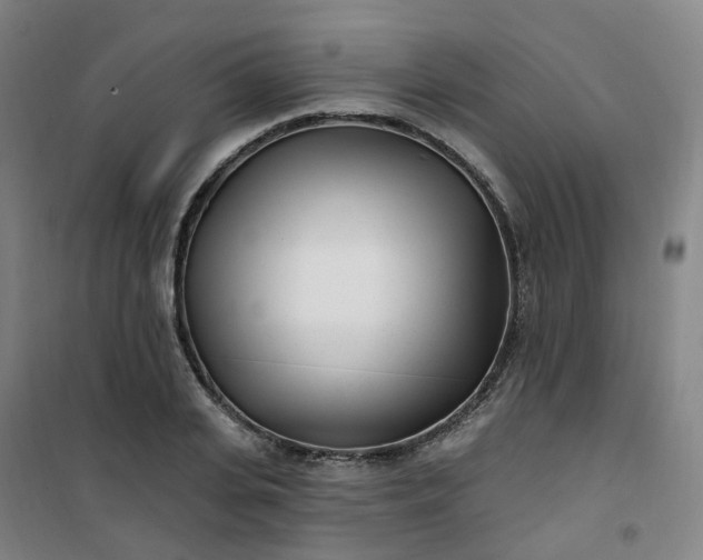 X0000101180935200807111112
