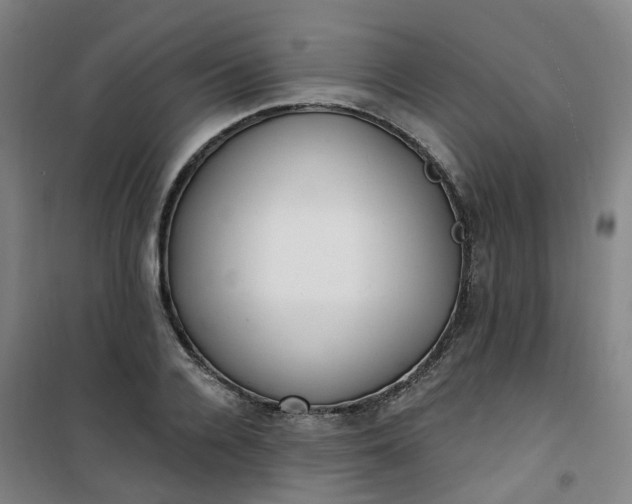 X0000101180936200807111112