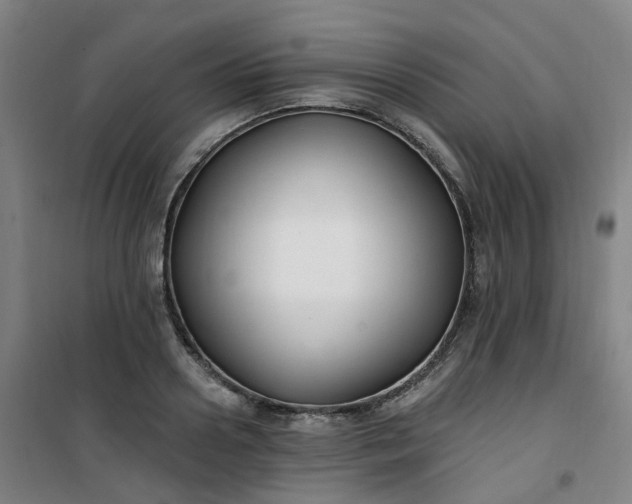 X0000101180938200807111112