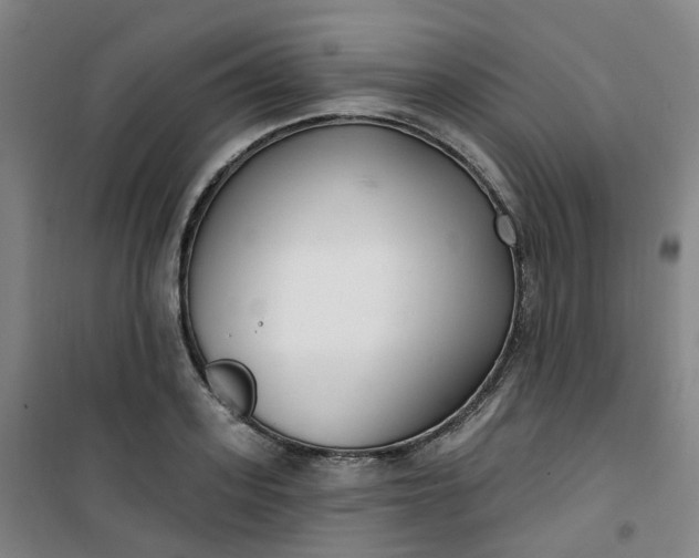 X0000101180939200807111112