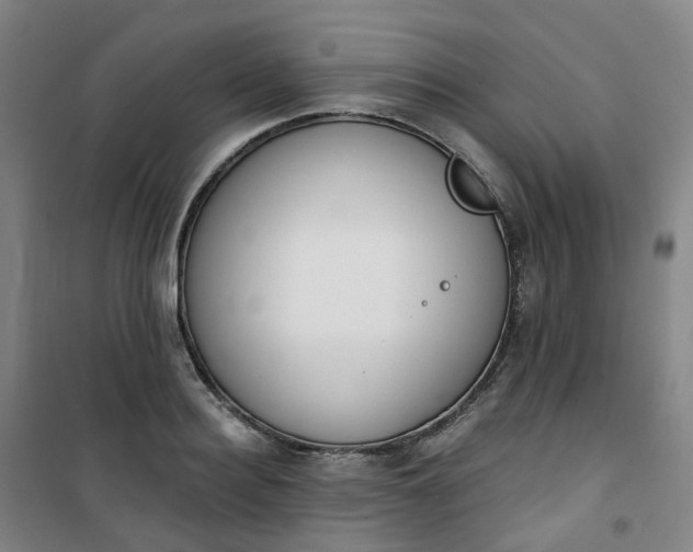 X0000101180940200807111112