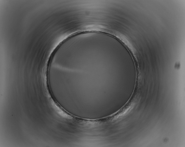 X0000101180941200807111112