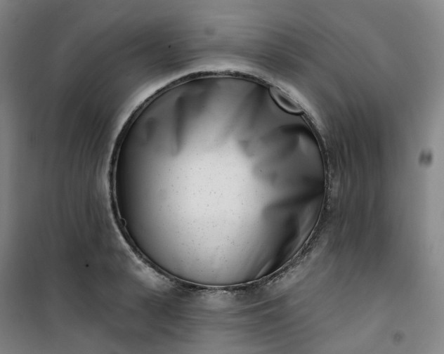 X0000101180943200807111112