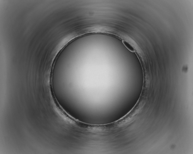 X0000101180946200807111112
