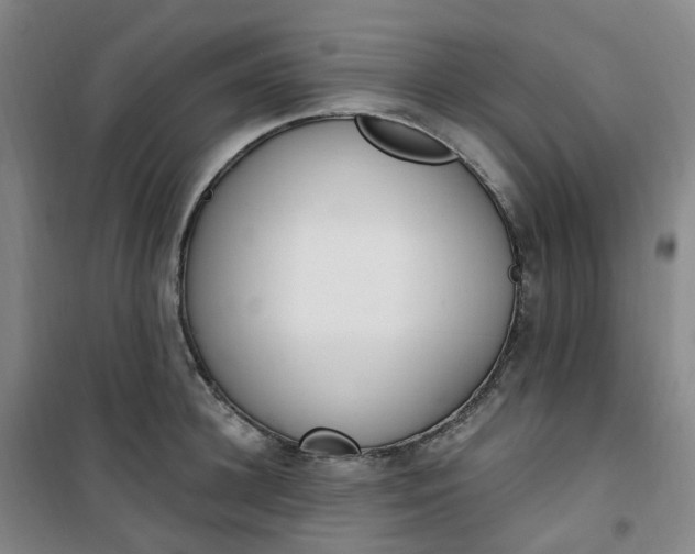 X0000101180948200807111112